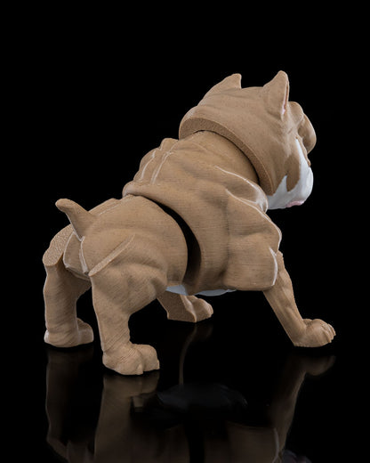 Bully Américain
